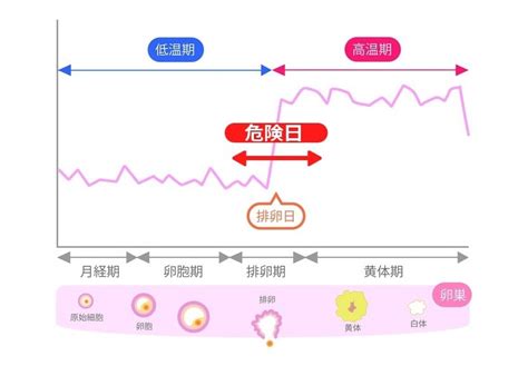 妊娠危険日計算|危険日計算ツール 